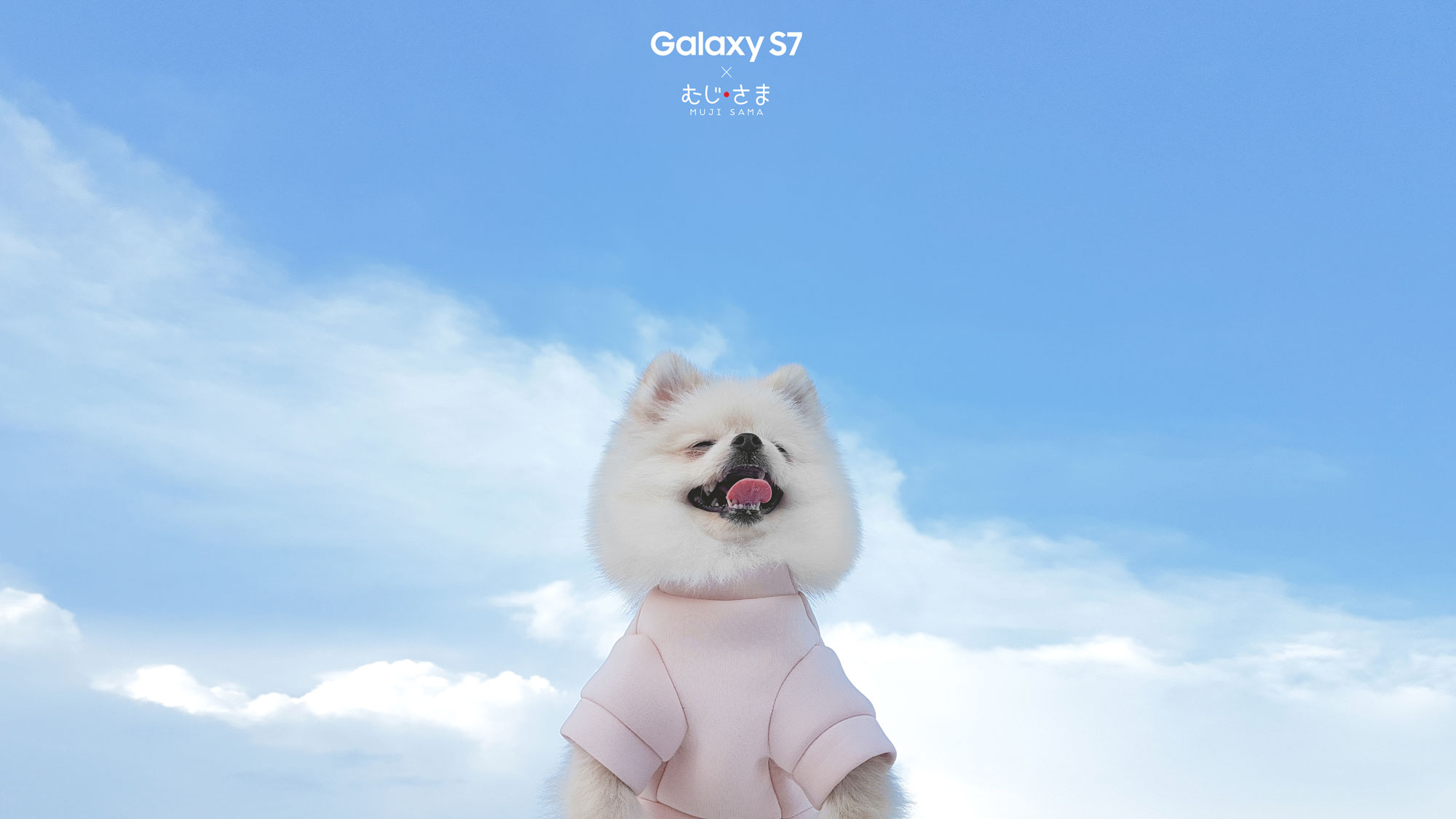EVERYDAY SMILE :) รอยยิ้มของน้องมูจิ by Samsung Galaxy S7