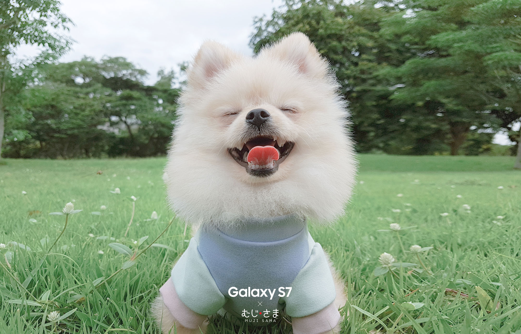 EVERYDAY SMILE :) รอยยิ้มของน้องมูจิ by Samsung Galaxy S7